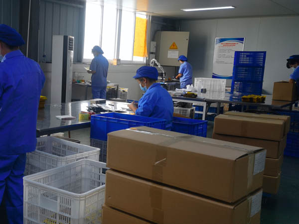 哪里有膏藥加工廠？膏藥貼牌廠家哪家好？